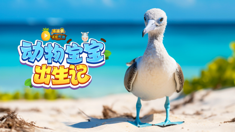 “问问”与传统社交平台的区别：更加注重知识分享