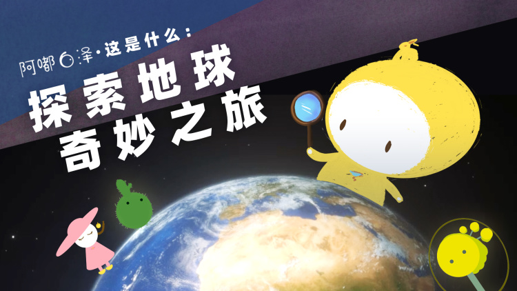 请和我前夫结婚吧