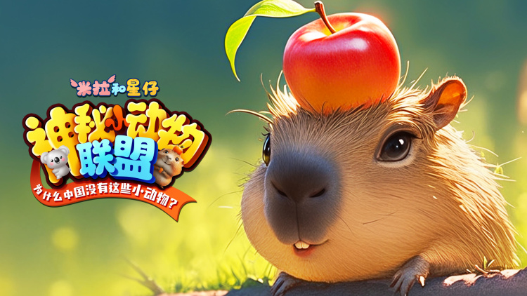 易用性与界面设计：提升用户体验的关键