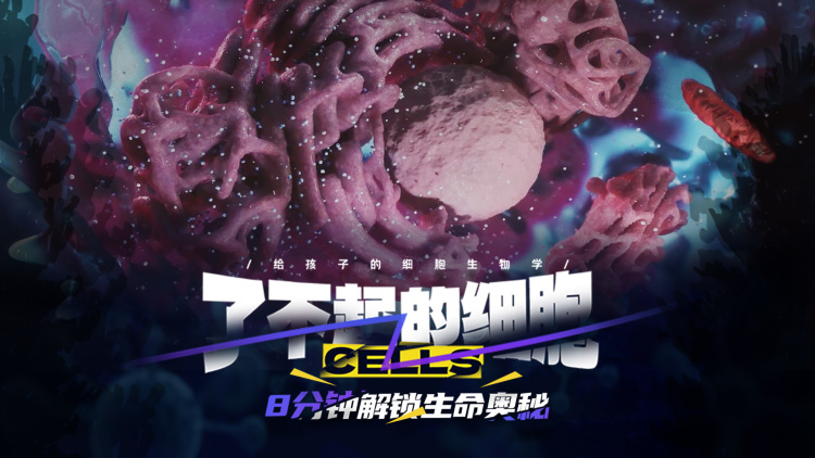 大街小巷：更贴近生活的分店