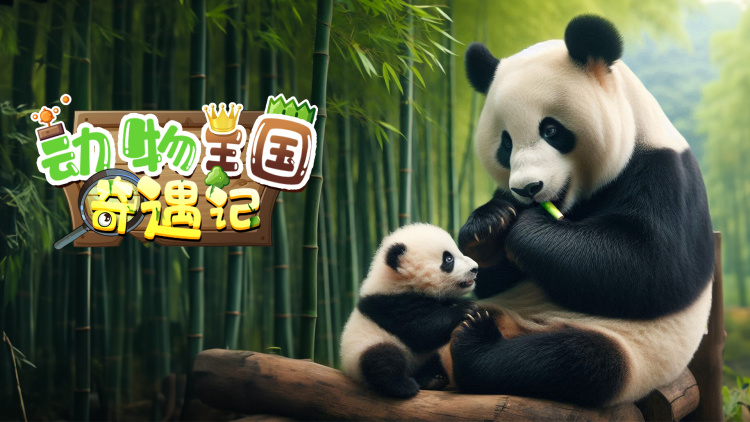 暗芝居第十五季·终章惊悚