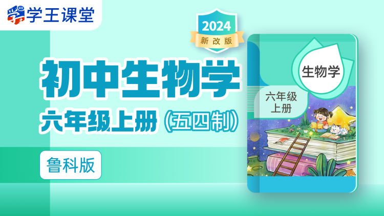 “问问”的推出时间