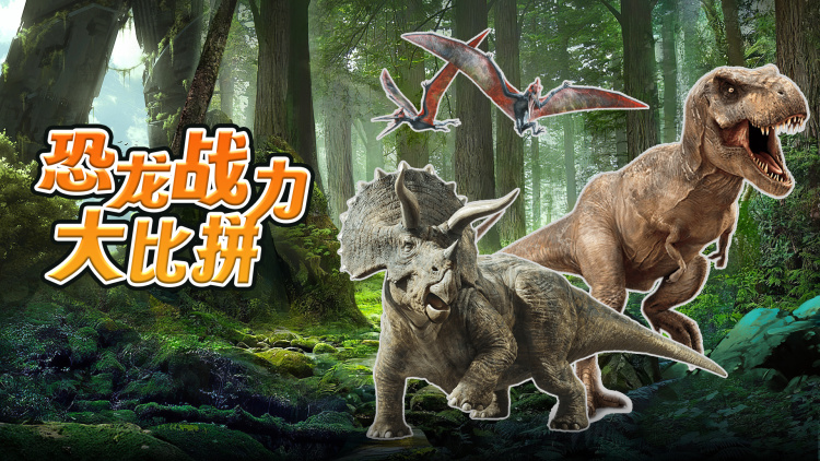 抢亲九零小娇夫竟是大院贵公子·真情不移