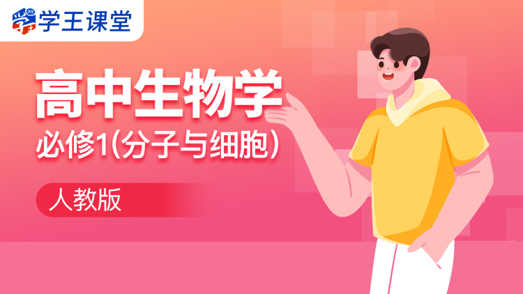 为什么大家喜欢讯雷的下载速度？