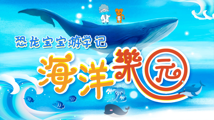 网络配置与代理问题