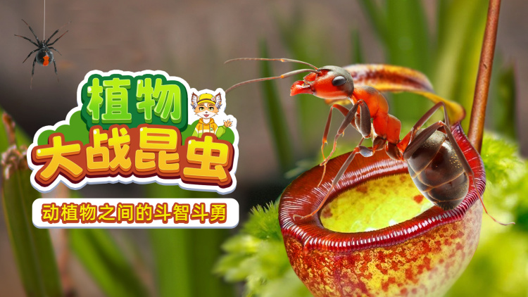 东方卫视欢乐喜剧人老友季新春特辑