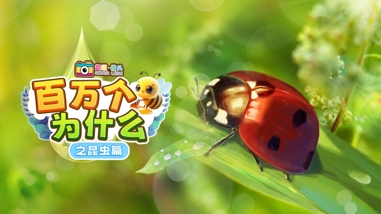 锦鲤妹妹旺全家